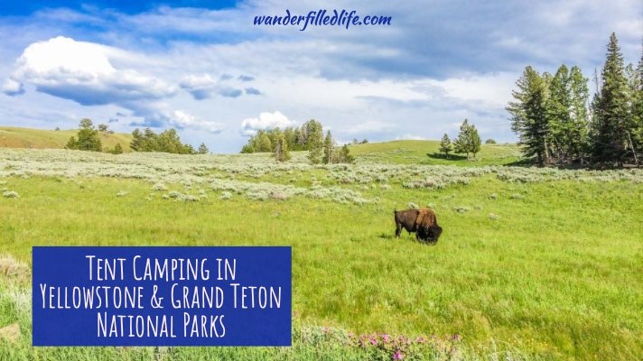Tent Camping Yellowstone