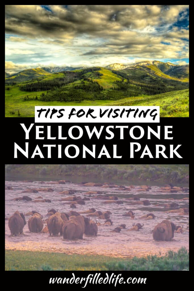 Our top tips for Yellowstone National Park, including when to visit, how to find wildlife and where to eat.