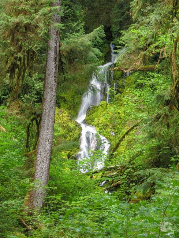 Day Hiking in Olympic National Park - Our Wander-Filled Life
