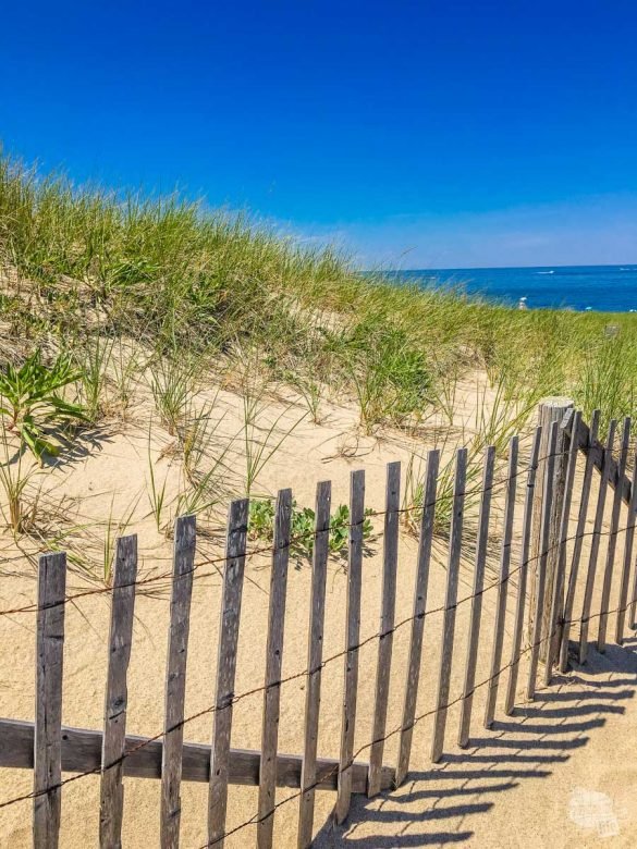 One Day at Cape Cod National Seashore - Our Wander-Filled Life