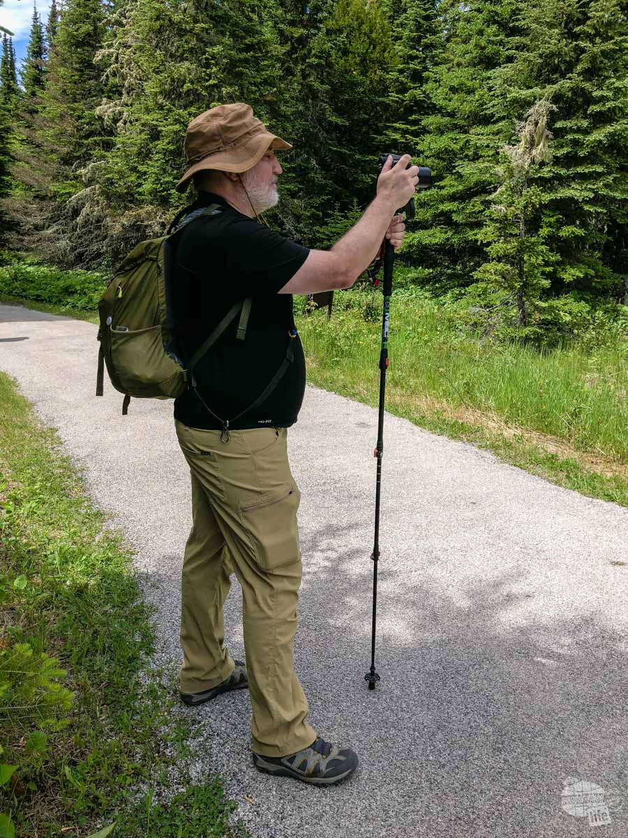 Grant using the hiking staff as a lightweight monopod to steady the SX40HS for shots of a moose.
