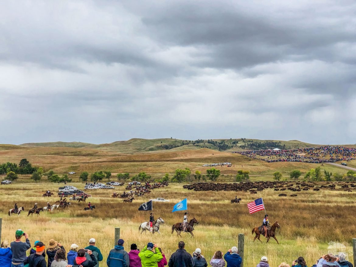 Experiencing the Custer State Park Buffalo Roundup