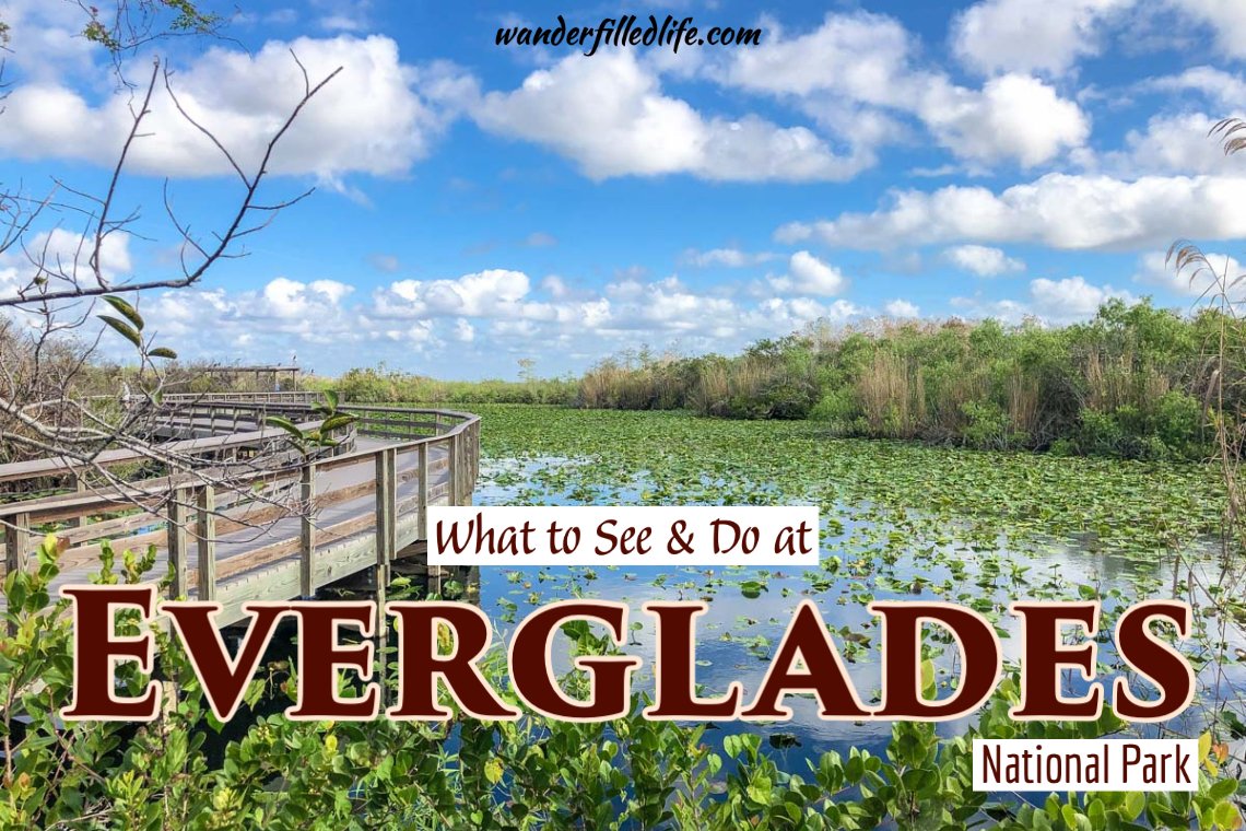 Things to Do in the Everglades
