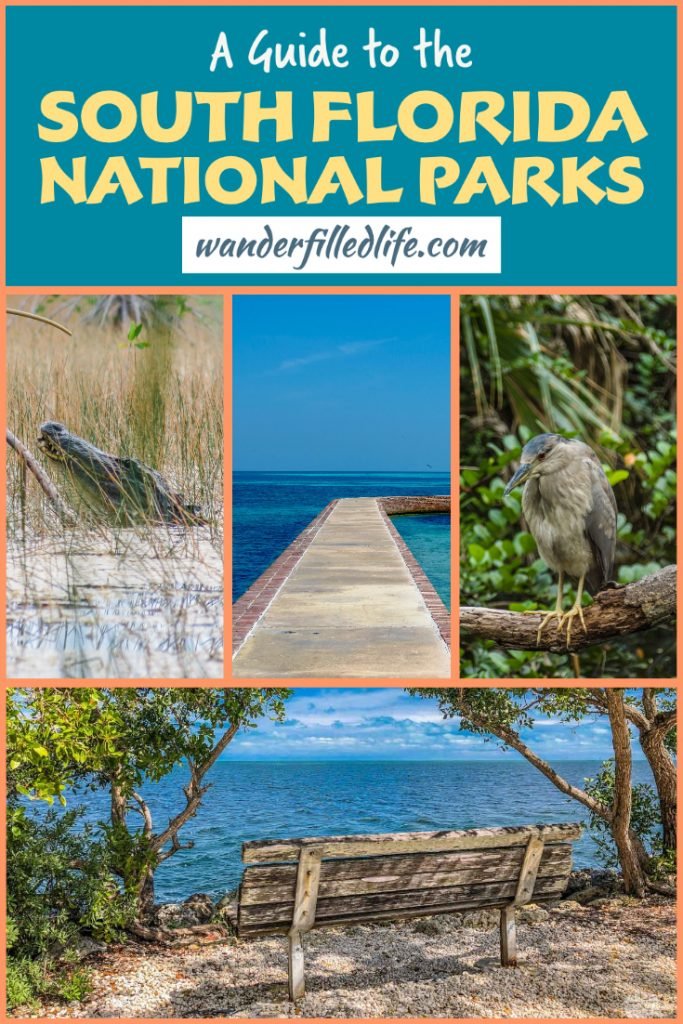 Looking for a warm winter getaway? Head to the South Florida national parks. In these four parks you'll find unique habitats, wildlife and adventures.
