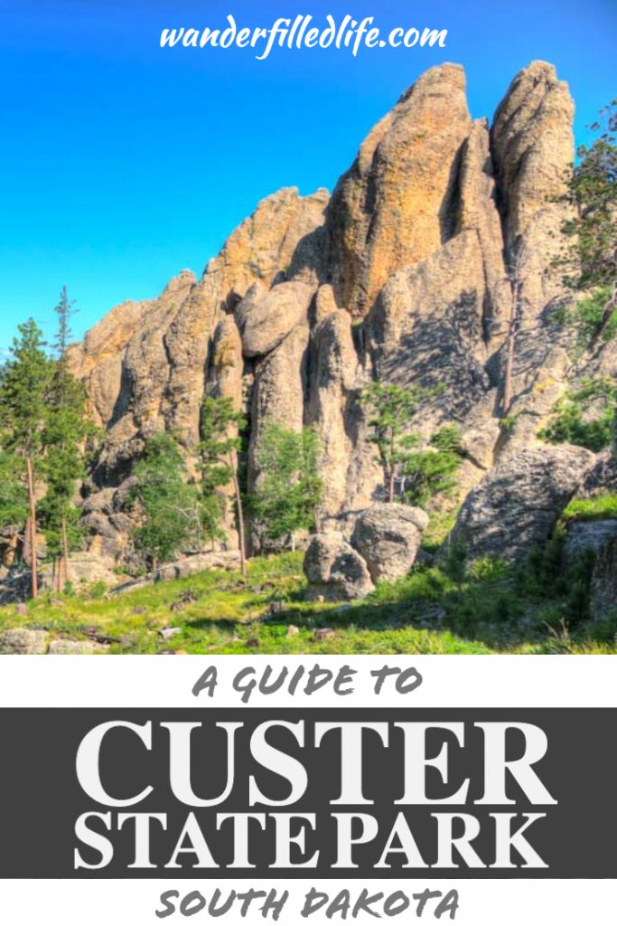 If you're headed to the Black Hills of South Dakota, there are many things to do in Custer State Park, making it a worthy stop on any itinerary.