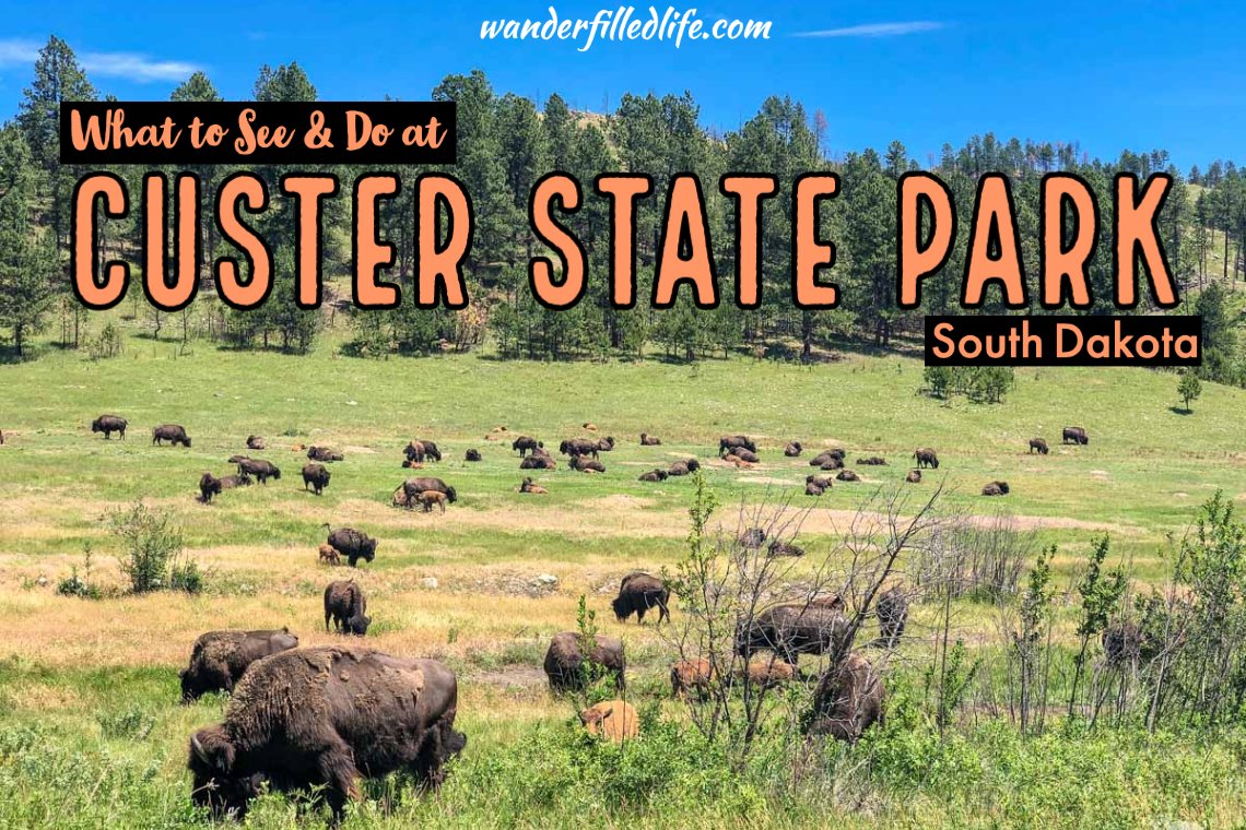 Things to Do in Custer State Park