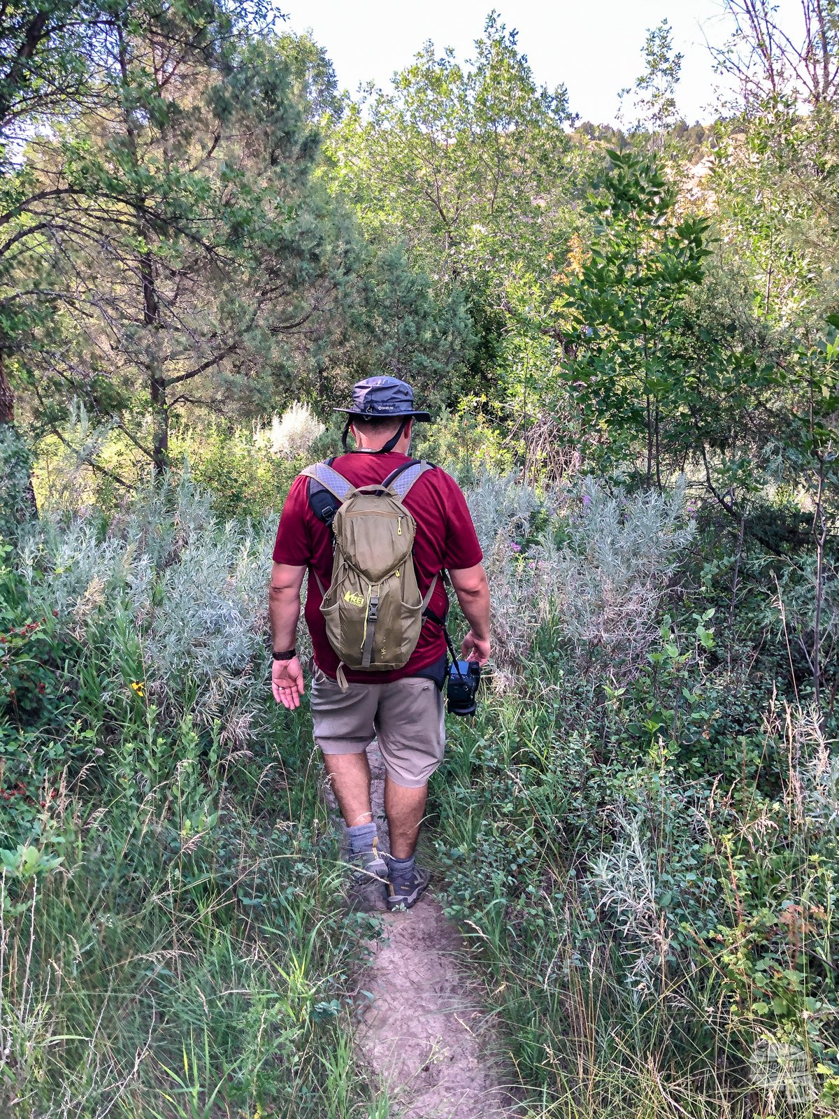 Grant hiking through thicker brush on the Caprock Coulee Trail.