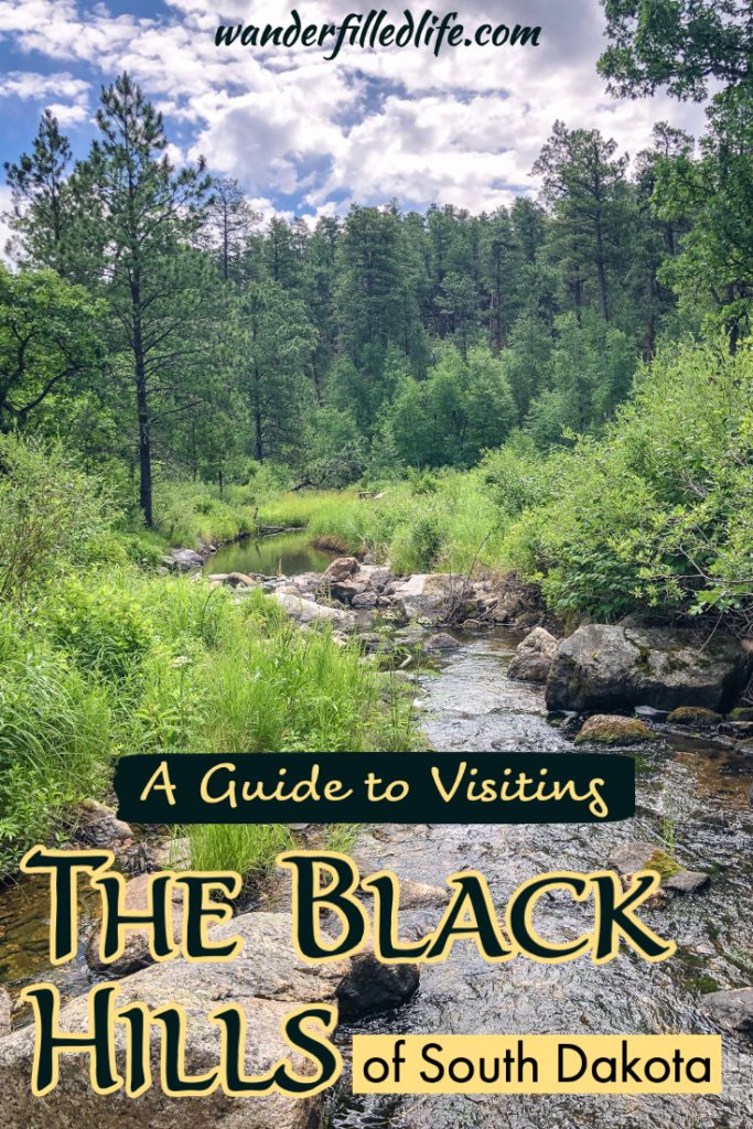 If you're looking for things to do near Mount Rushmore, the Black Hills is full of great parks, museums, wildlife and more. Our guide covers it all!
