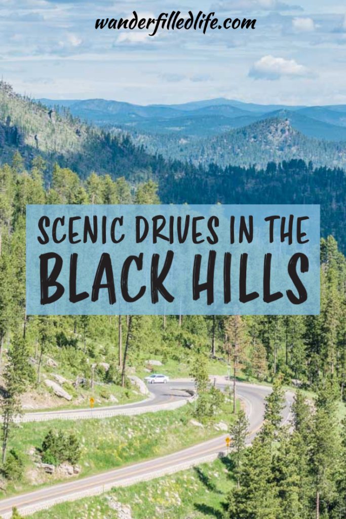 Driving the scenic drives in the Black Hills is one of the best ways to experience the multitude of beauty and wildlife found in this unique place.