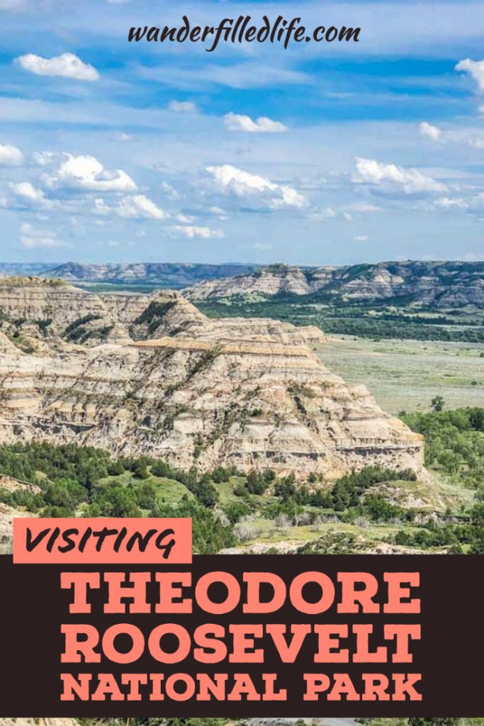All it takes is visiting Theodore Roosevelt National Park once to see why the former president fell in love with this rugged landscape.