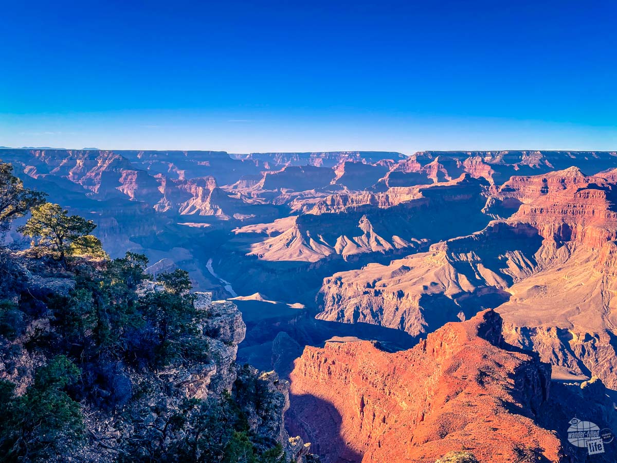 The views of the Grand Canyon are expansive.