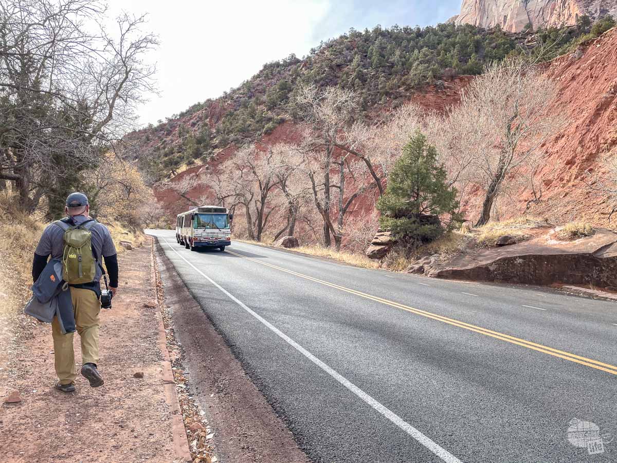 Walking along the Scenic Drive at Zion National Park.