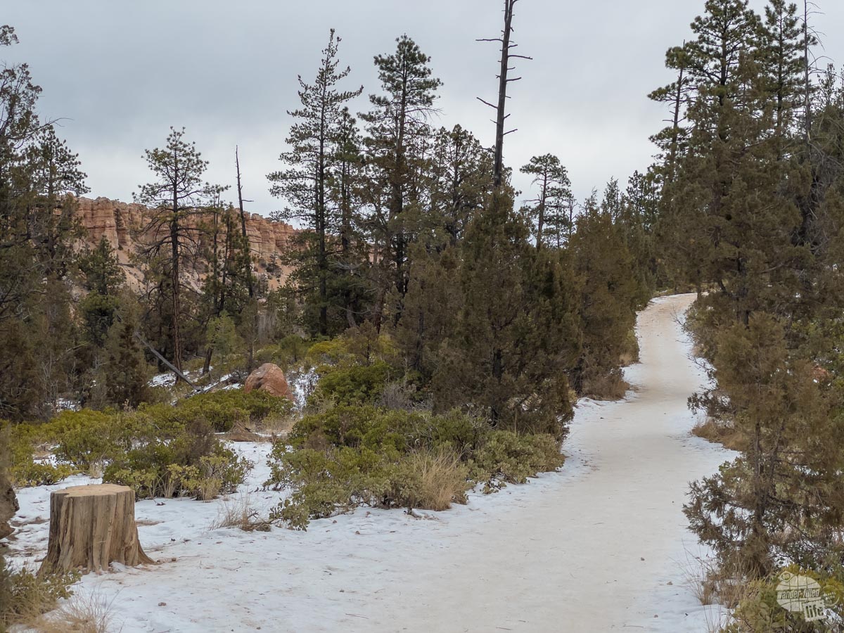 Snow-covered trail at Bryce Canyon.