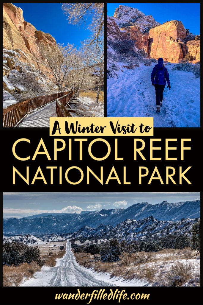 Exploring Capitol Reef National Park in the winter can be a truly magical experience, with snow-covered cliffs everywhere you look!