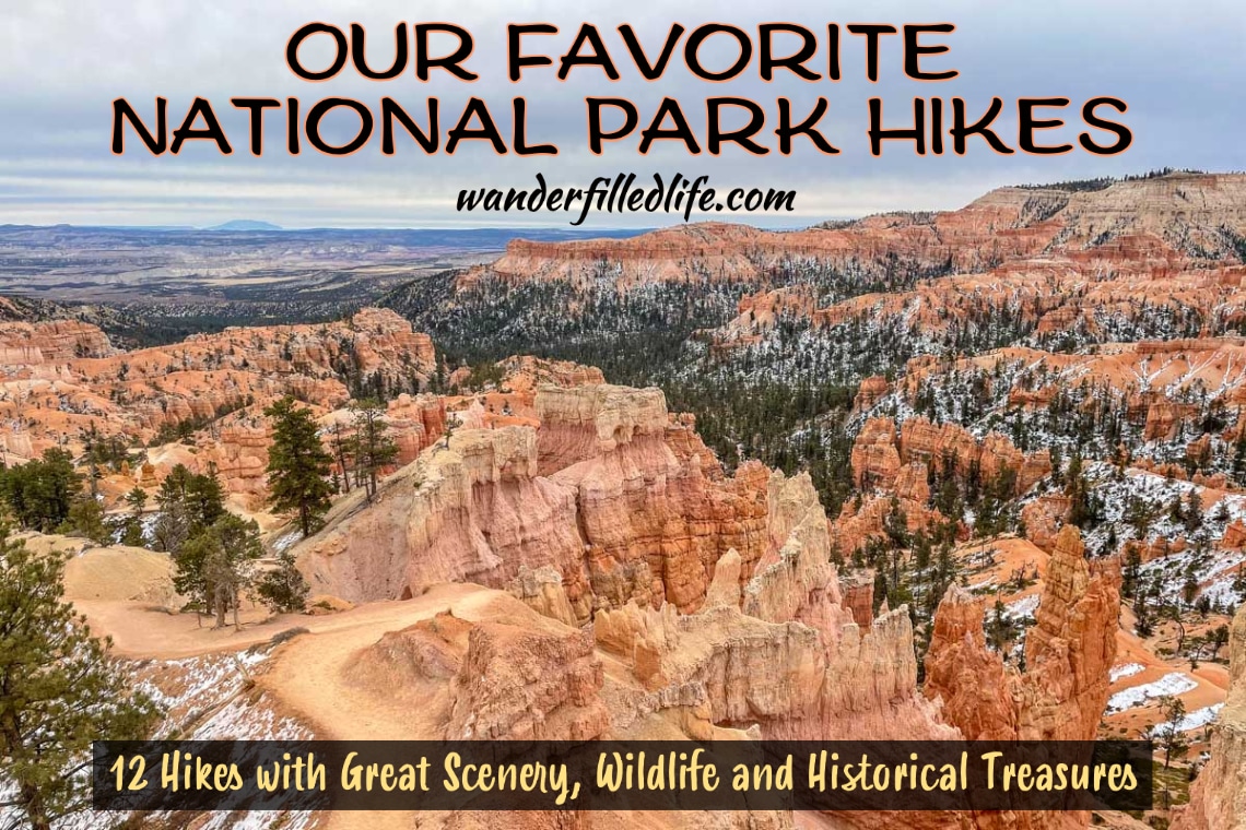These are our favorite National Parks hikes where we have found our nation's history, staggering beauty and incredible animal encounters.