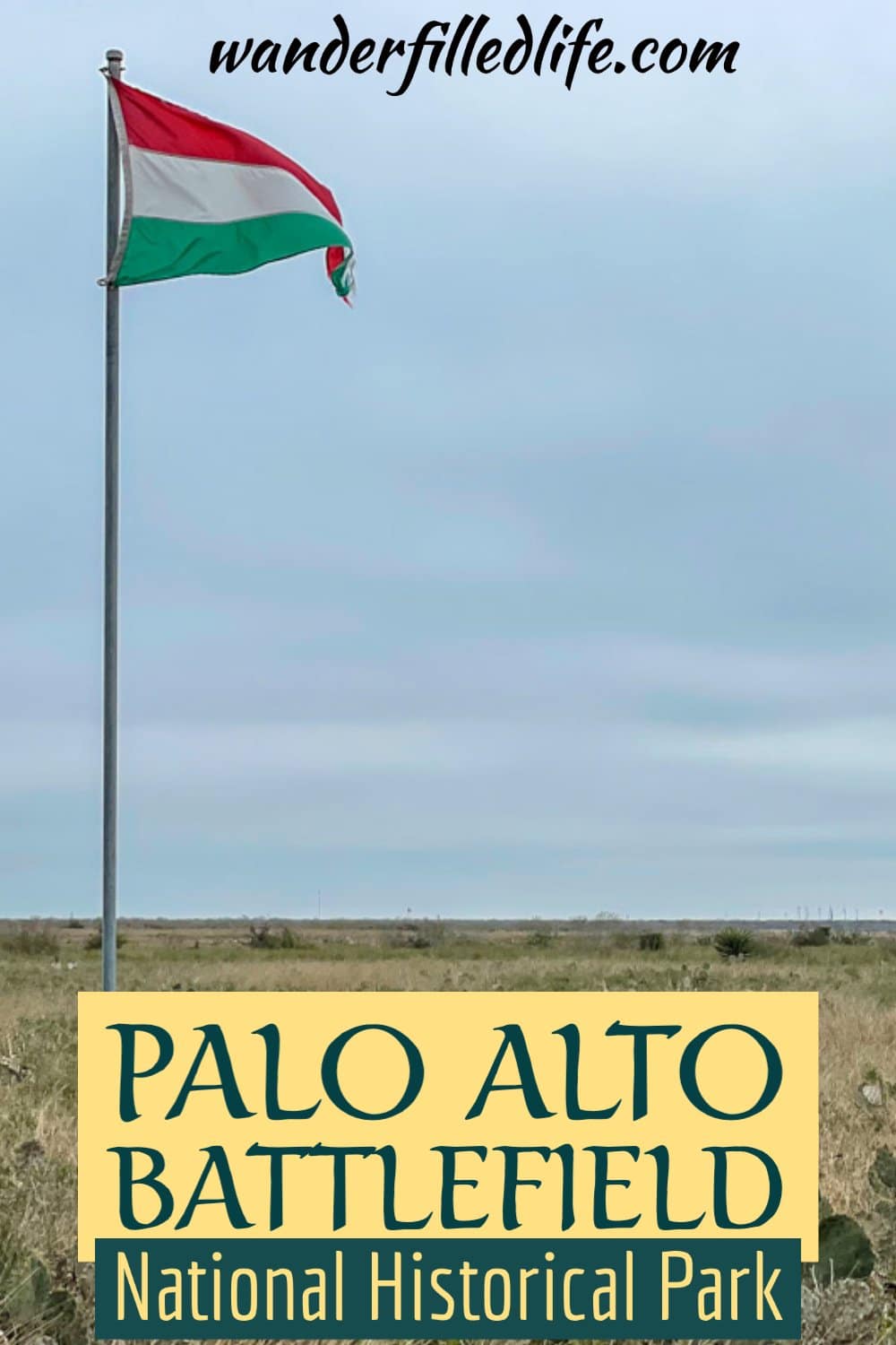 Palo Alto Battlefield National Historical Park offers an in-depth look at the first battles of the Mexican-American War and some unusual wildlife!
