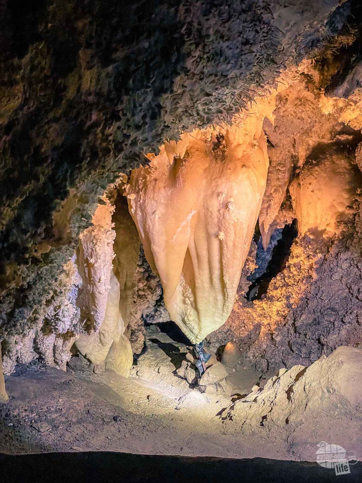 timpanogos cave tour times