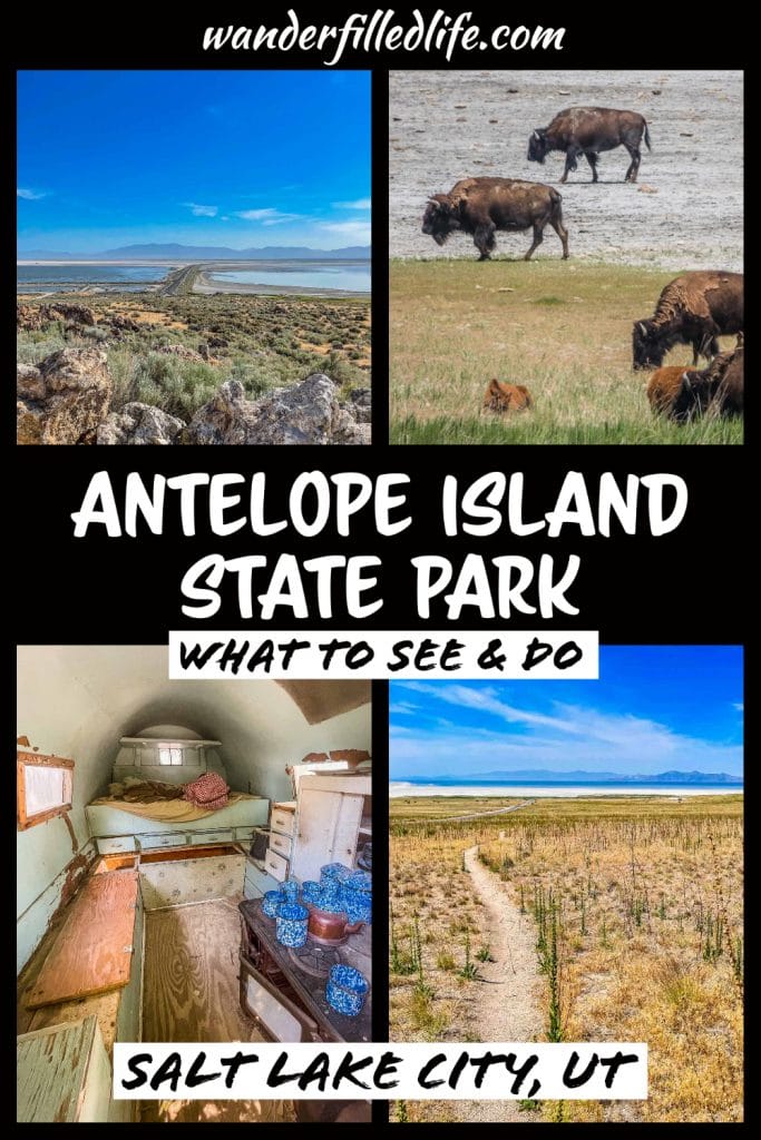 Antelope Island State Park in Utah is a rugged, beautiful area, with a lot of history and, most importantly, a large herd of bison!