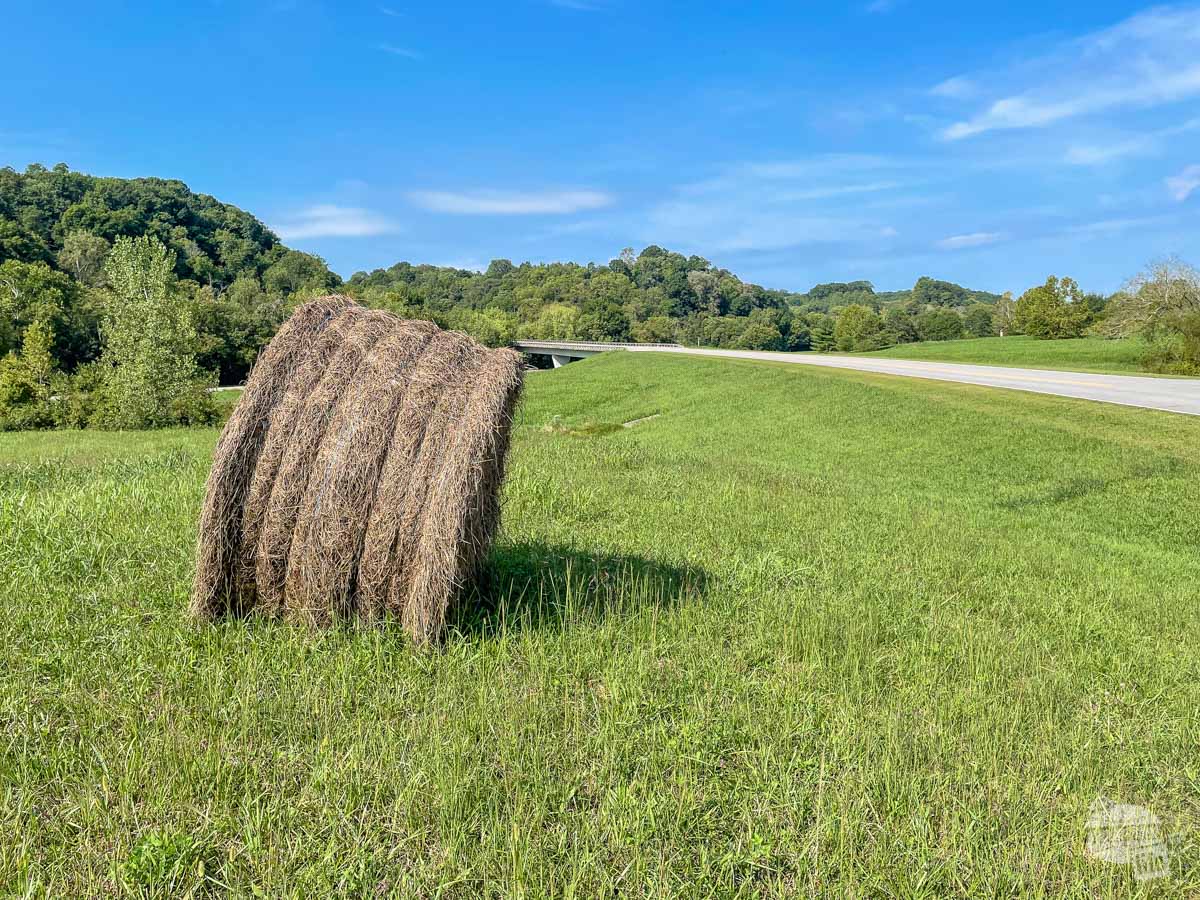 You will find a lot of idyllic views on your Natchez Trace road trip.