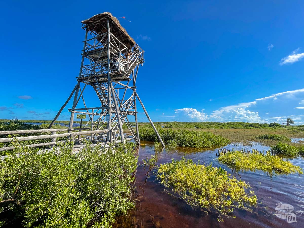 The lagoon observation tower in Punta Sur