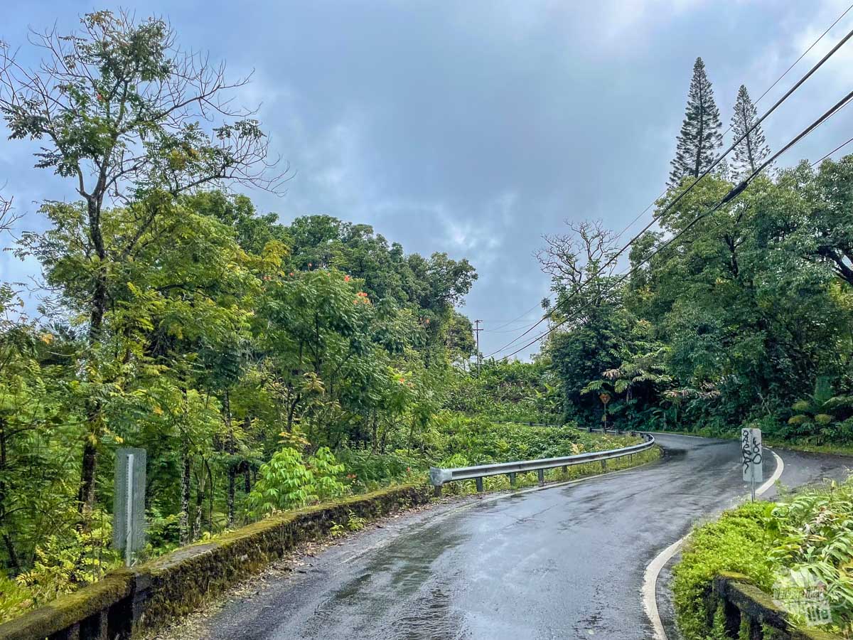 A single land road while driving the road to Hana.