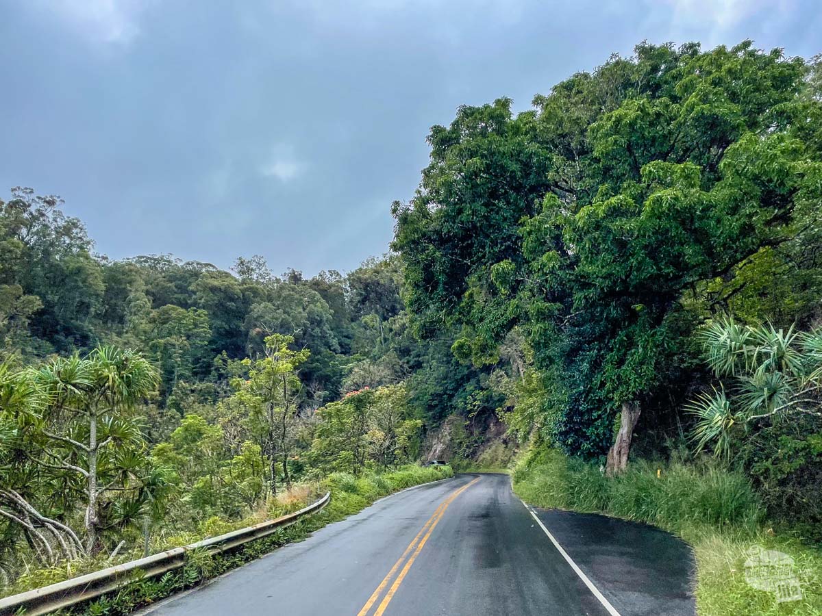 Driving the road to Hana. 