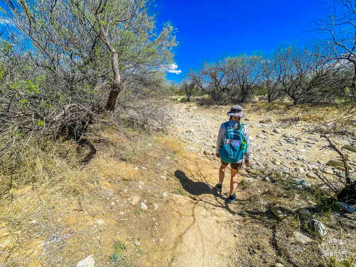 Hiking in Saguaro National Park.
