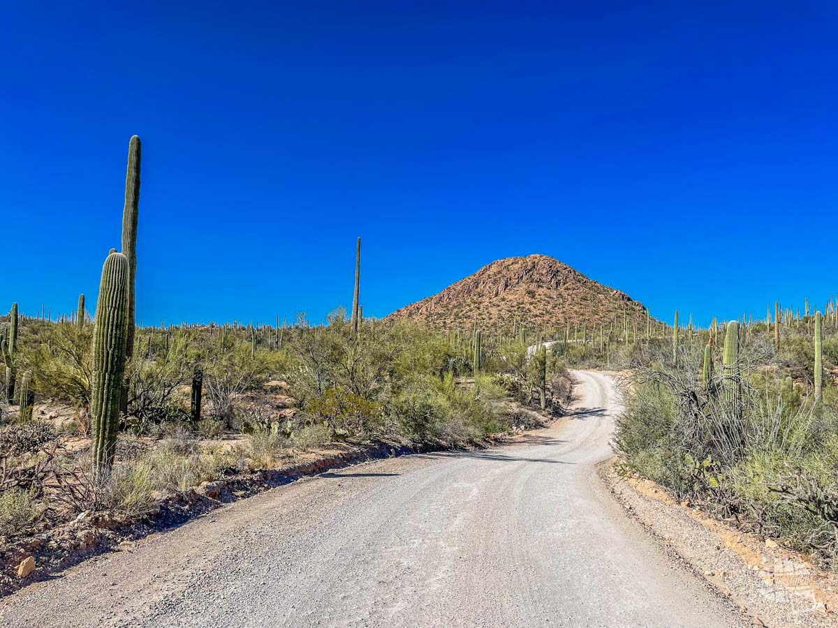 Hohokam Road in the western section of Saguaro National Park