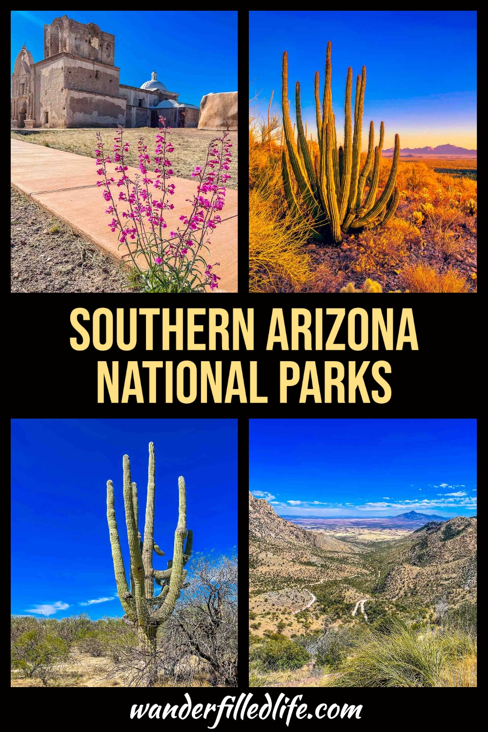 Southern Arizona national parks are a bevy of natural beauty, cultural treasures and surprising biological diversity, well worth a visit.