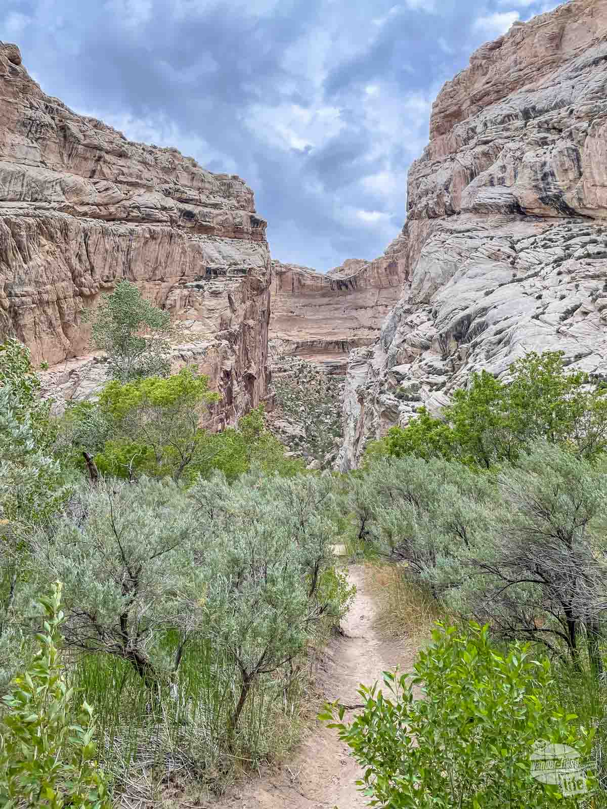 Box Canyon Trail