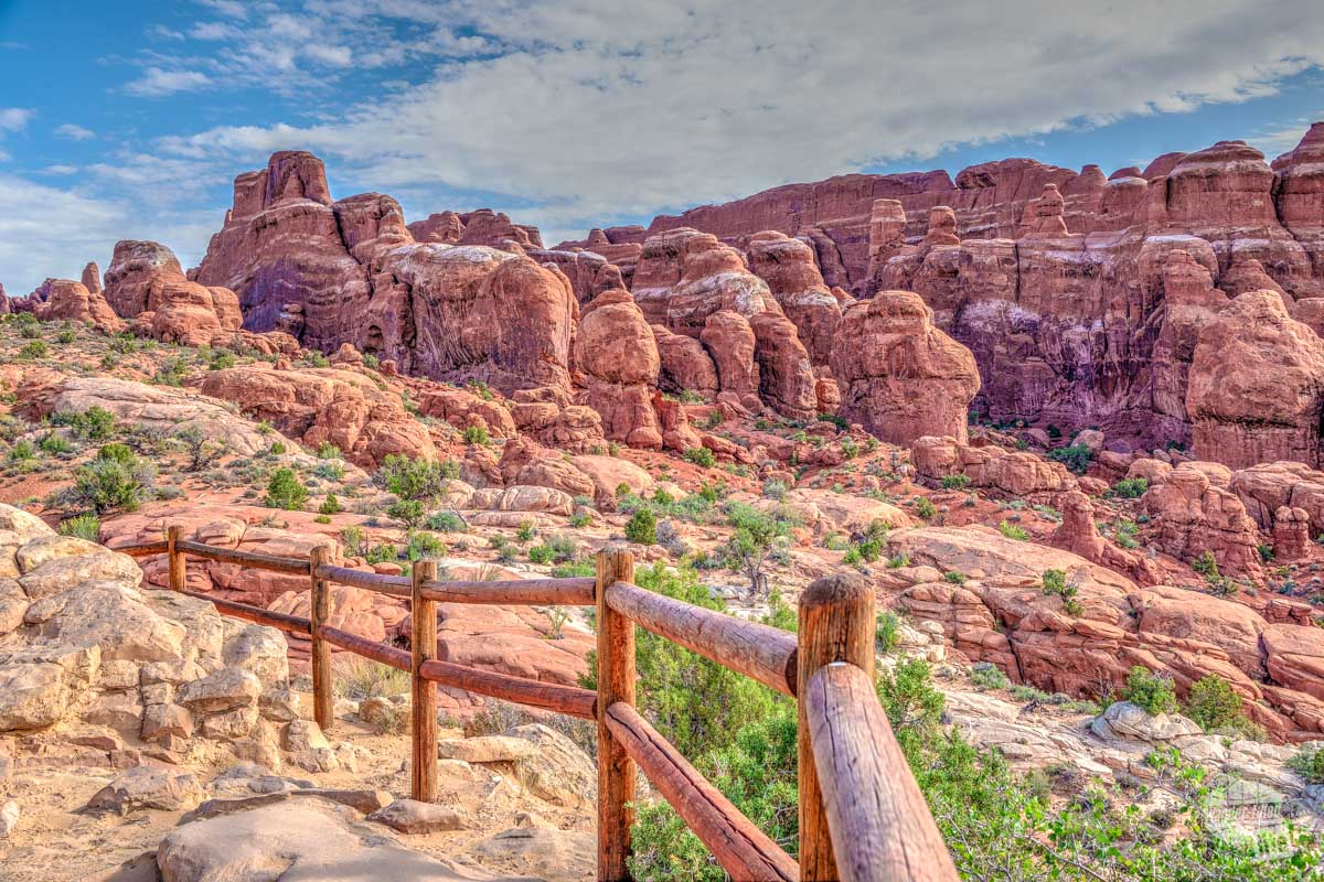 The view from the Fiery Furnace Overlook