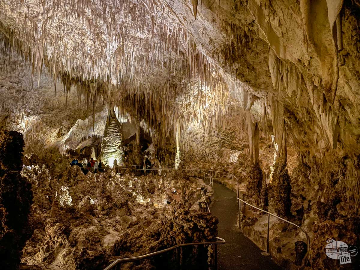 A large concentration of stalactites known as the Chandelier.