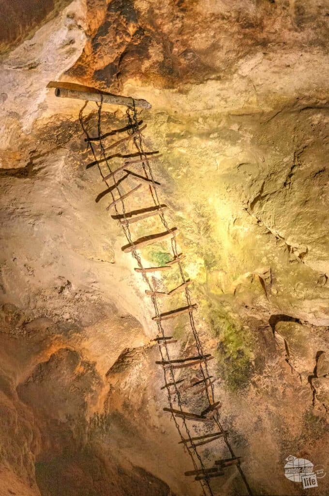 A very old ladder hangs on a cave wall. 
