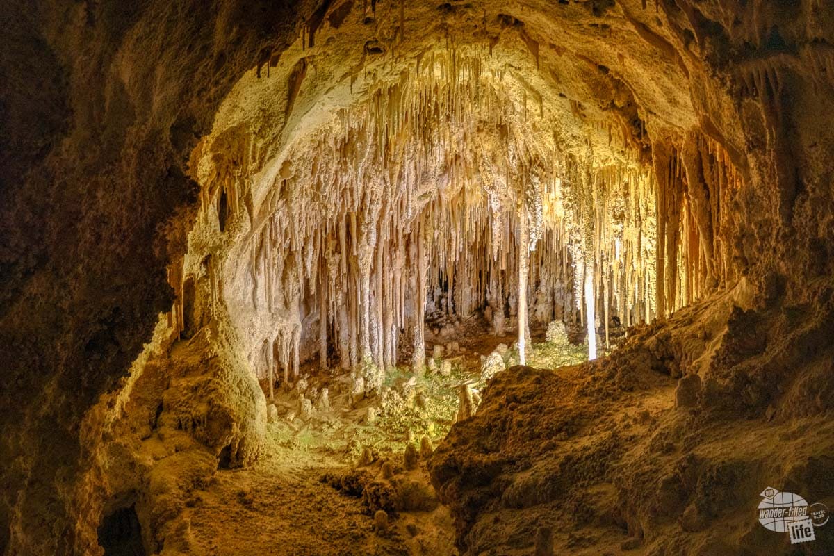 A concentration of soda straws inside Carlsbad Caverns.