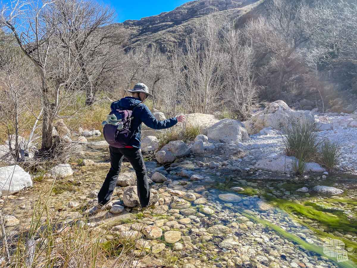 Crossing the creek in McKittrick Canyon in Guadalupe National Park