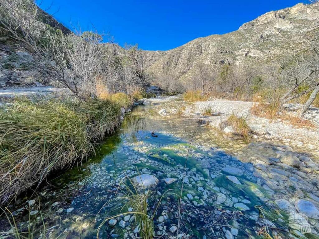 Creek in McKittrick Canyon in Guadalupe Mountains National Park