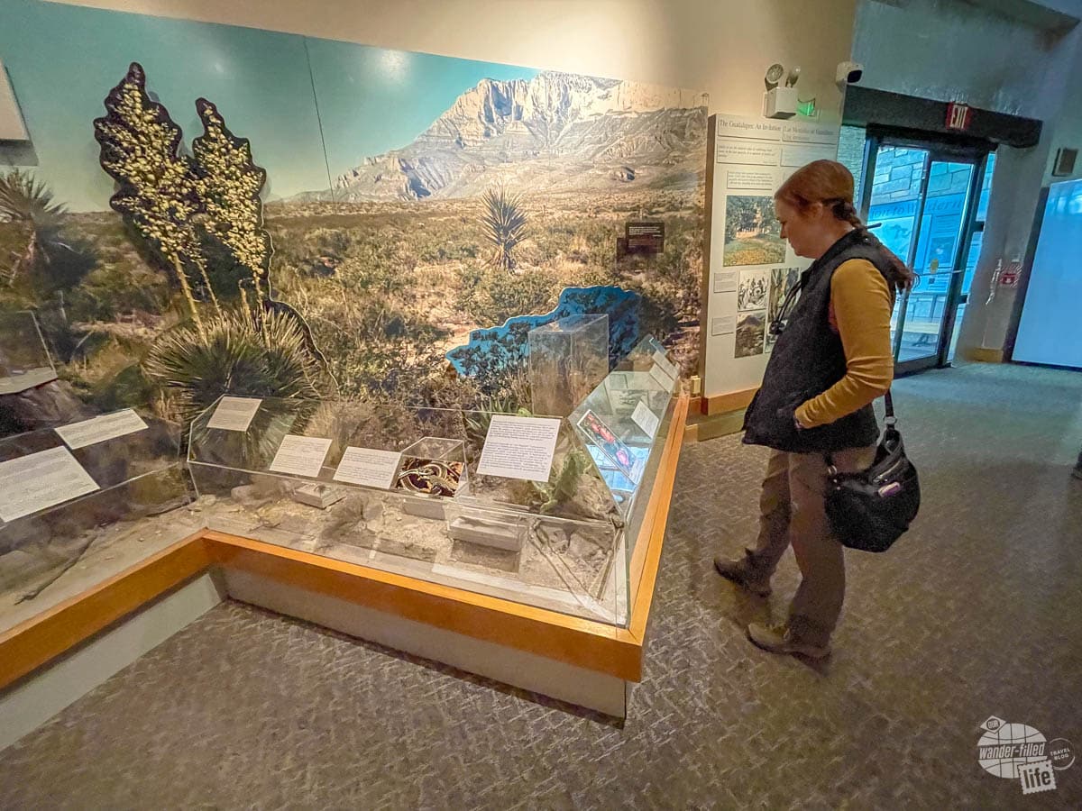The exhibits at Pine Springs Visitor Center in Guadalupe National Park.