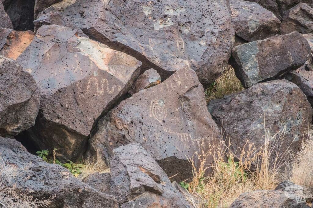 Petroglyphs along the Rinconada Canyon Trail in Petroglyph National Monument in Albuquerque.