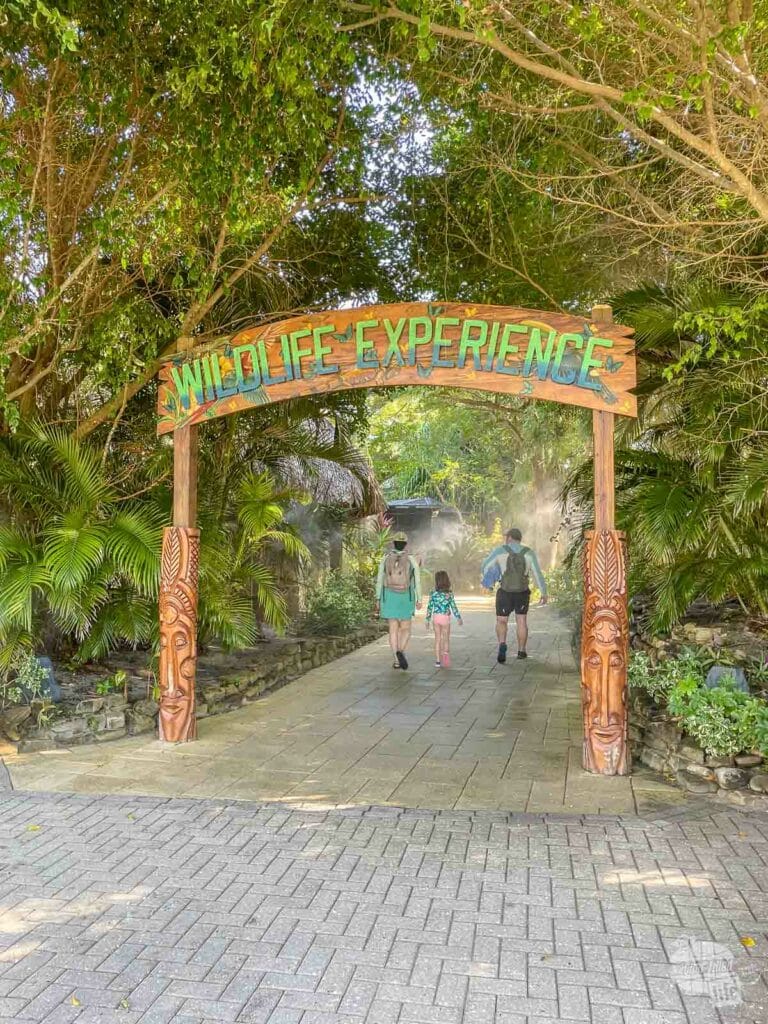 Entering into the Wildlife Experience at Harvest Caye