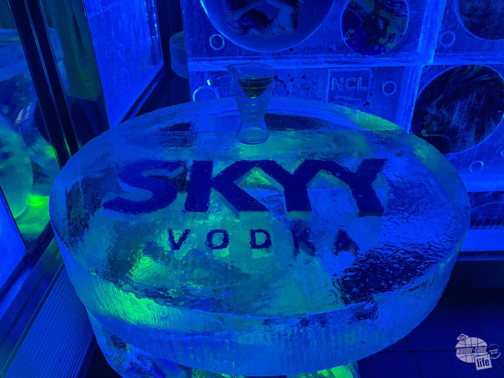 Skyy Vodka Ice Bar
