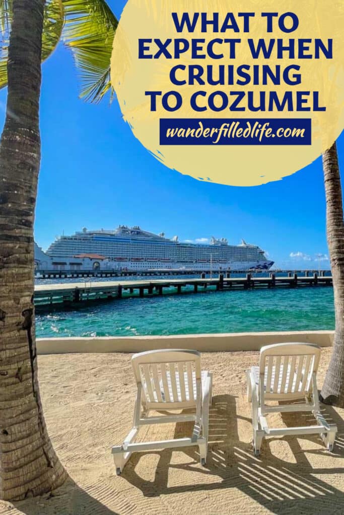 Cozumel is a favorite stop on Western Caribbean cruises and for good reason! The island offers a ton of possible experiences for travelers.