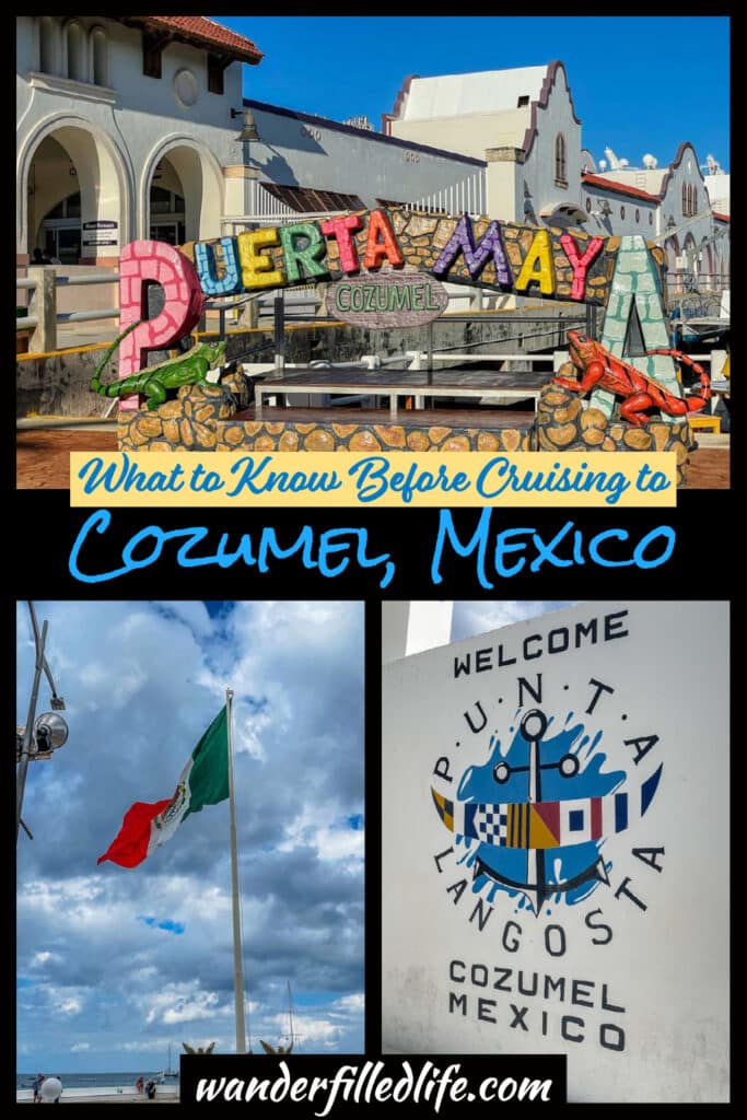 Cozumel is a favorite stop on Western Caribbean cruises and for good reason! The island offers a ton of possible experiences for travelers.