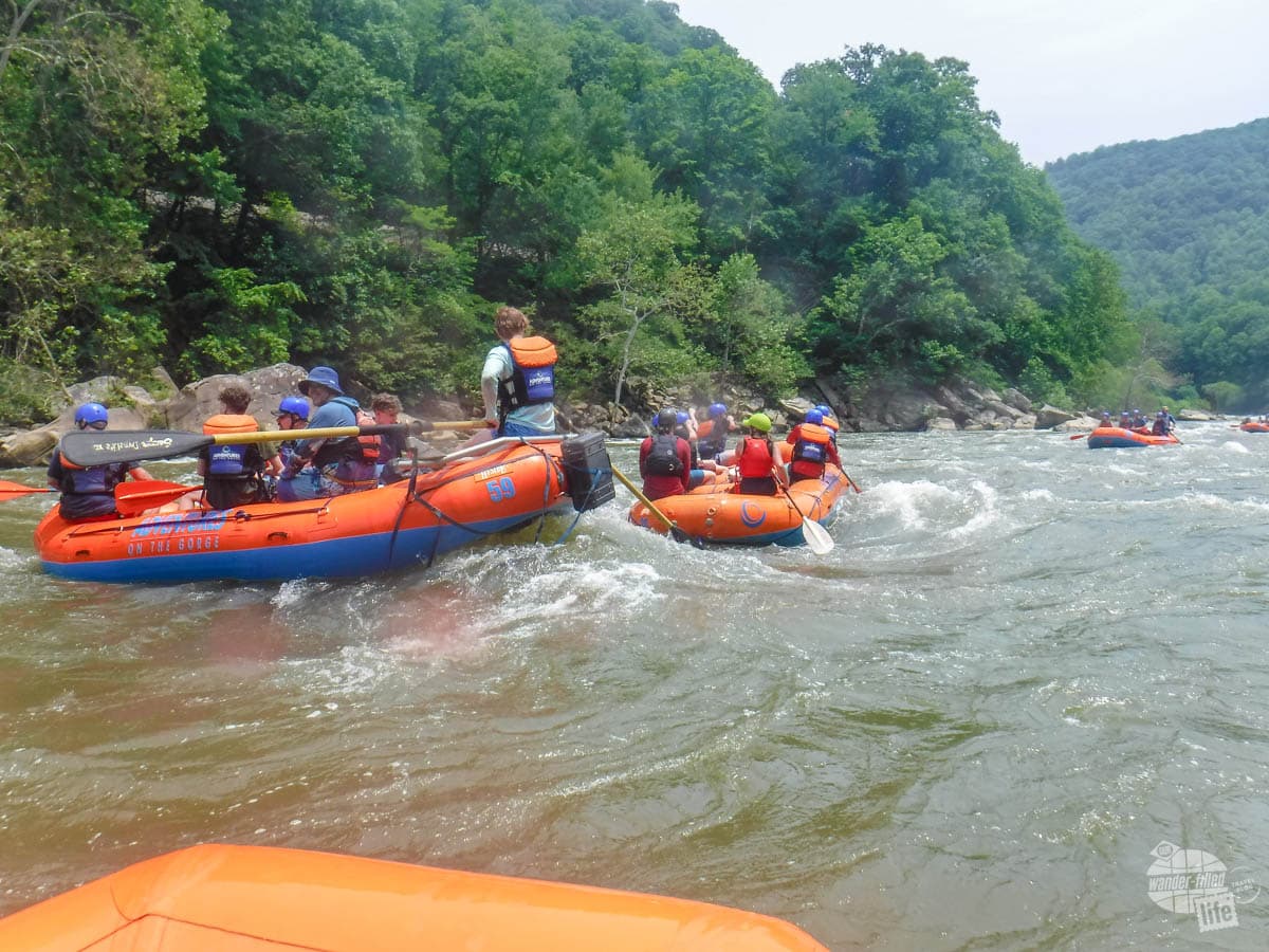 One of the best New River adventures: white water rafting.