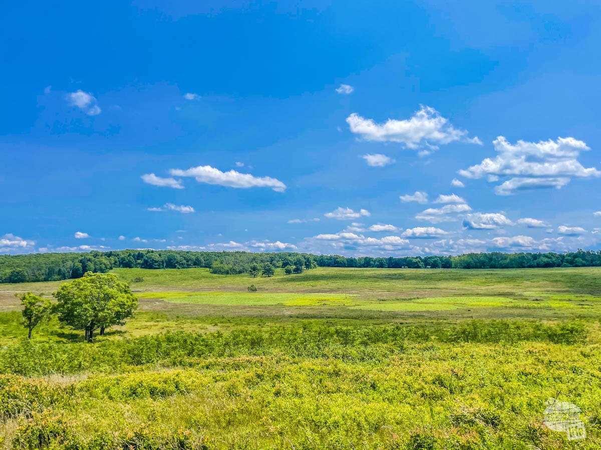 Big Meadow at Shenandoah National Park