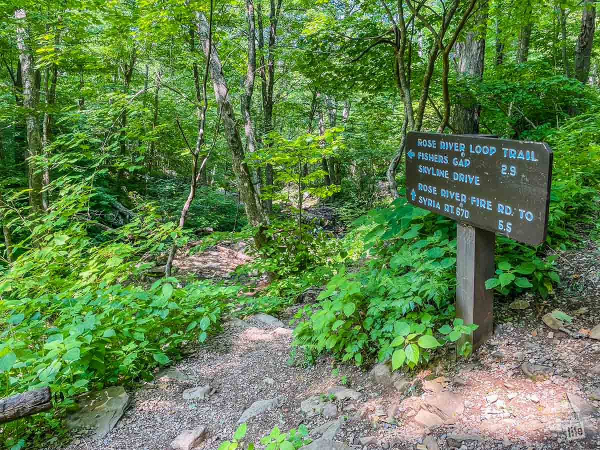 Rose River Loop Trail in Shenandoah National Park