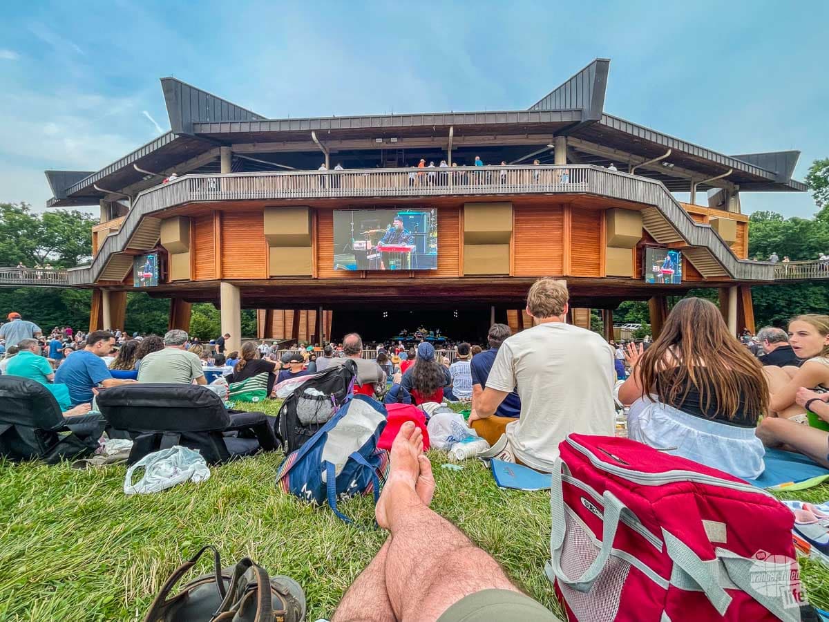 Enjoying a concert at Wolf Trap National Park for the Performing Arts.
