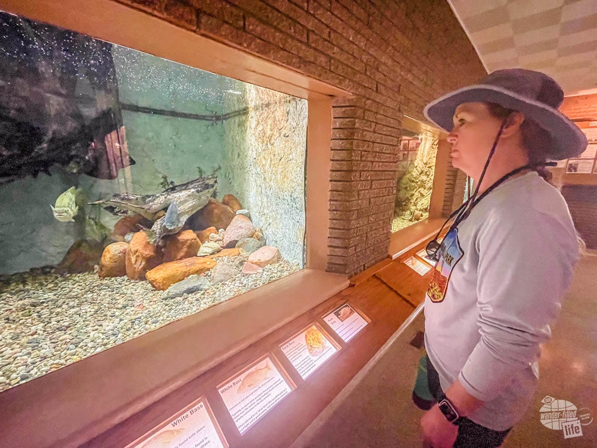 Gavins Point National Fish Hatchery is a great place to learn about the aquatic species of the Missouri National Recreational River.