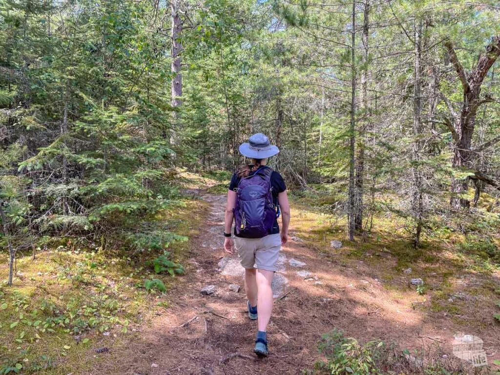 Blind Ash Trail in Voyageurs National Park