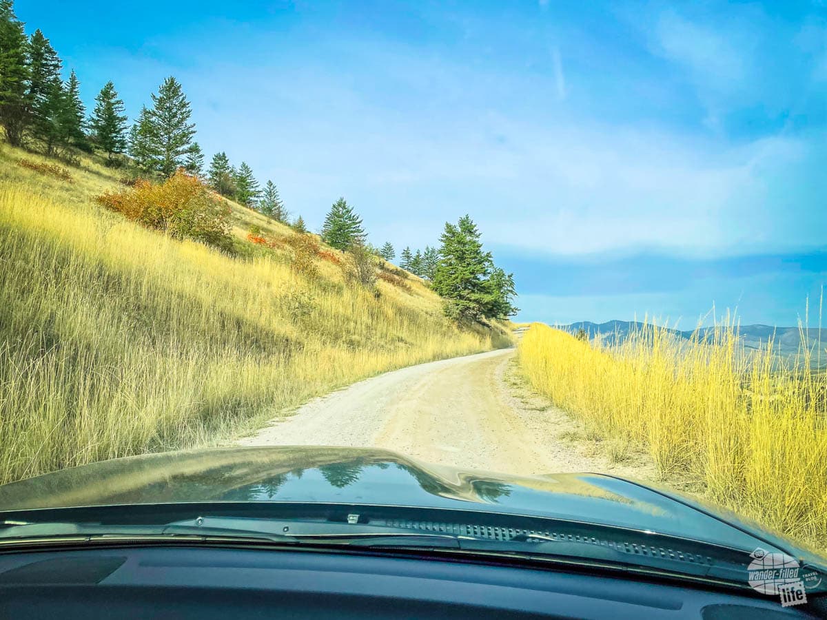 Driving the Bison Range in Montana