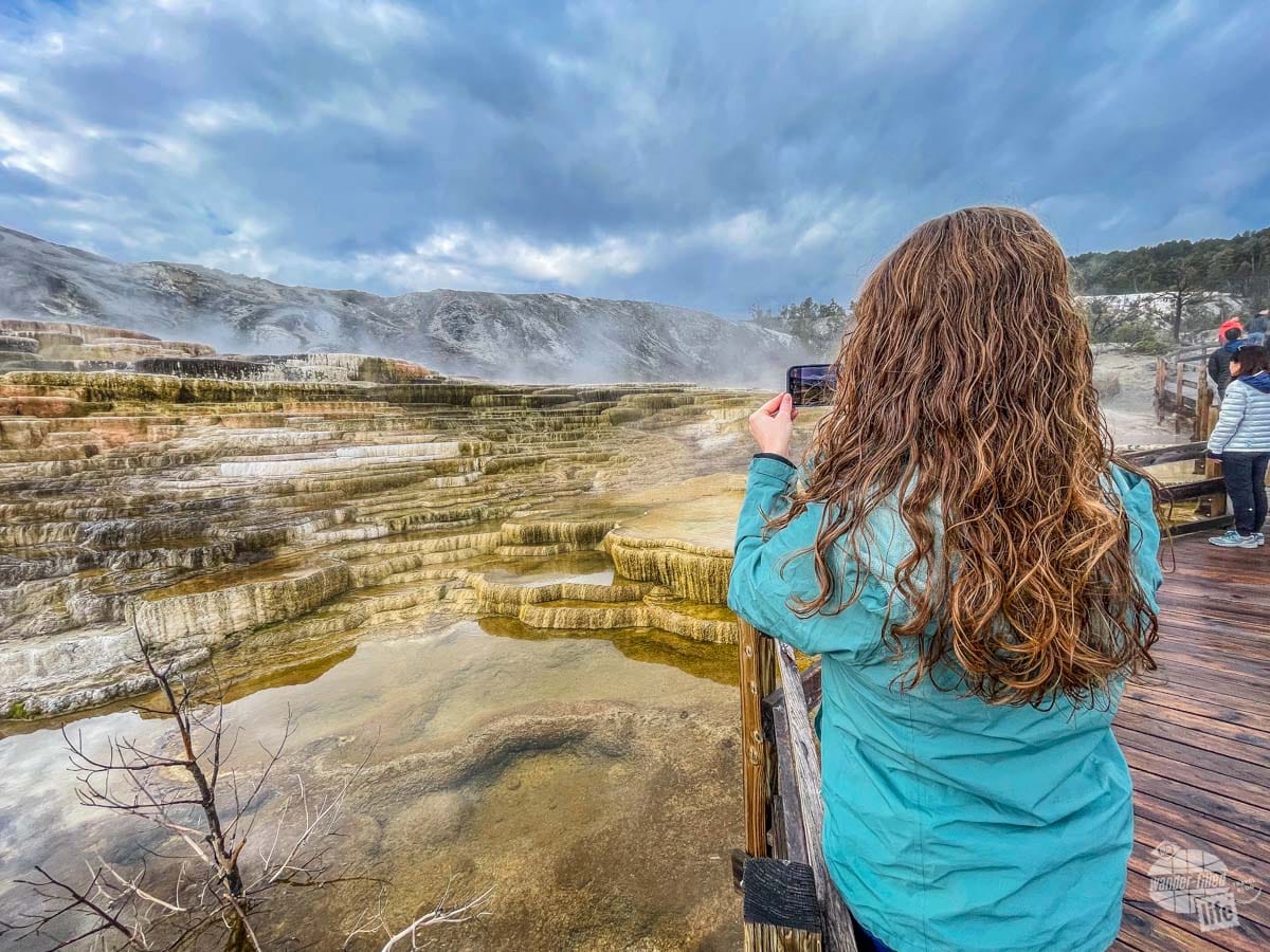 Bonnie using an iPhone to take pictures in Yellowstone National Park.